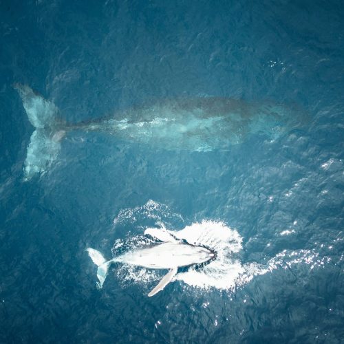 remy-godet-pK1WKPj89gc-unsplash